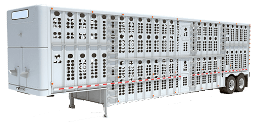 Cattle Trailer